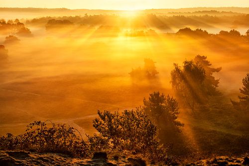 Ochtendgloren Brunssummerheide
