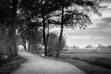Black and White sunset between the meadows in the Netherlands sur Raymond Voskamp