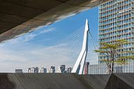 Ein fantastischer Blick auf die Erasmus-Brücke in Rotterdam von MS Fotografie | Marc van der Stelt Miniaturansicht