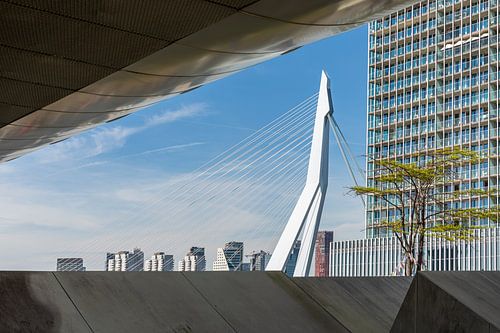 Een fantastisch doorkijkje op de Erasmusbrug in Rotterdam