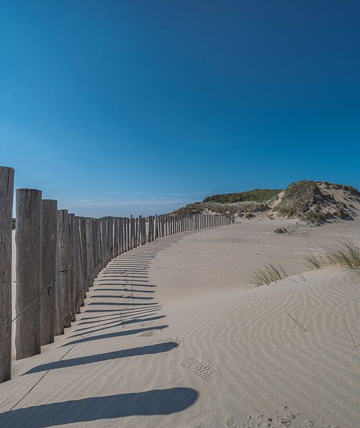 Kennemerduinen, North Holland by Peter Bartelings