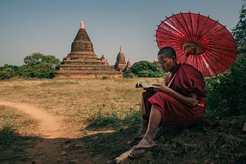 Jonge monnik in de tempels van Bagan van Roland Brack