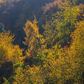 Herbstfeuer über dem Ahrtal von Walter G. Allgöwer