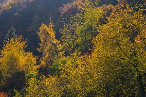 Feux d'automne au-dessus de la vallée de l'Ahr