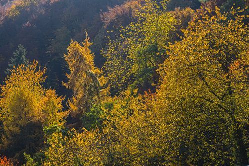 Herfstvuur boven het Ahrdal