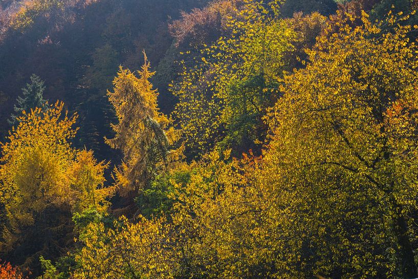 Feux d'automne au-dessus de la vallée de l'Ahr par Walter G. Allgöwer