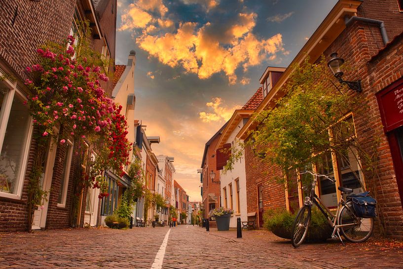 Roses in the street by peterheinspictures
