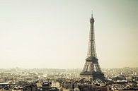 Paris - Eiffel Tower by Walljar thumbnail