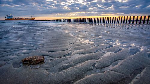 Naar de haven van Bram Visser
