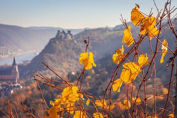 Herbst am Mittelrehintal bei Oberwesel by Christian Müringer