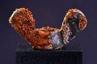 Roest Galerij - Pic 1.5 van Ingo Laue thumbnail