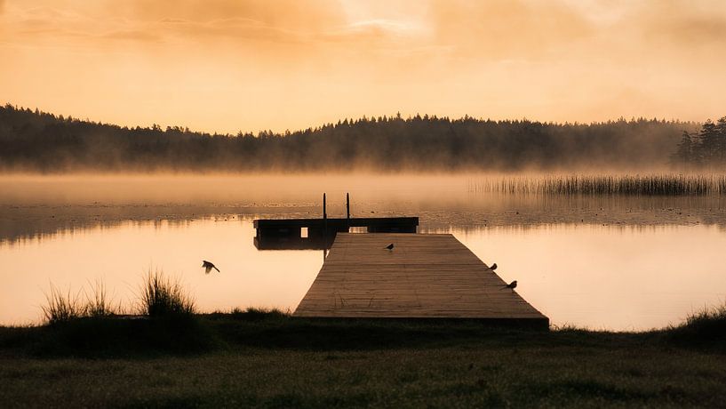 Jetty that reaches into a Swedish lake by Martin Köbsch
