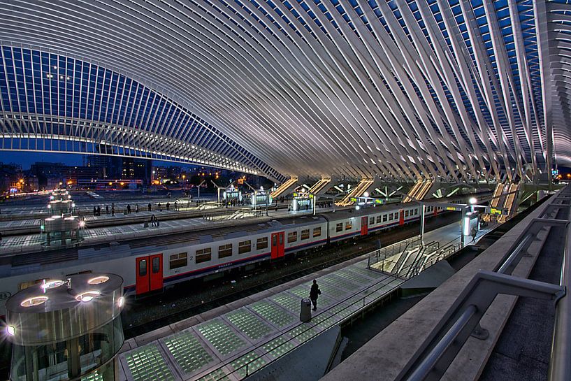 Vertrek /Station Luik-Guillemins  par Jo Miseré
