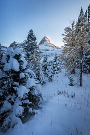 Kanada snow landscape by Remco van Adrichem