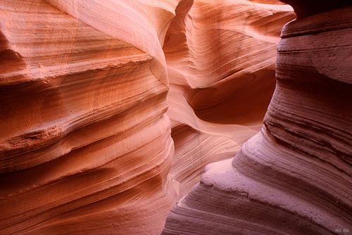 de geheimen van de natuur X