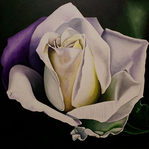 weiße Rose von Ria van Meijeren
