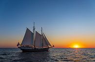 Segelschiff im Sonnenuntergang auf der Hanse Sail in Rostock von Rico Ködder Miniaturansicht