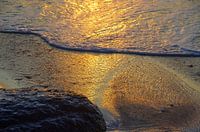 Stranddetail im Abendlicht