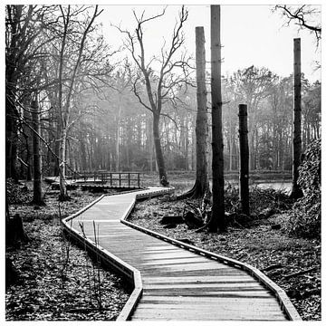 Machen Sie eine Pause