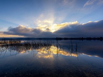 De laatste zonnestralen aan de Staffelsee van Teresa Bauer