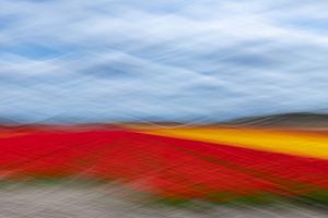 Les vagues du printemps