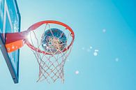 Basketball hoop in the sunlight by Poster Art Shop thumbnail