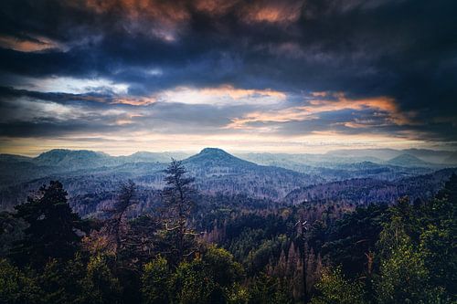 Kirnitzschtal tussen rotsen en zandstenen