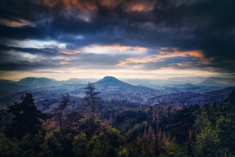 Kirnitzsch valley between rocks and sandstones by Jakob Baranowski - Photography - Video - Photoshop
