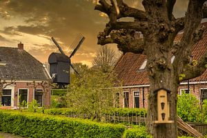 Windmühle in Bourtange