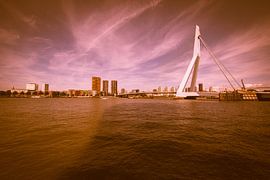 Rotterdam de Erasmusbrug by Brian Morgan