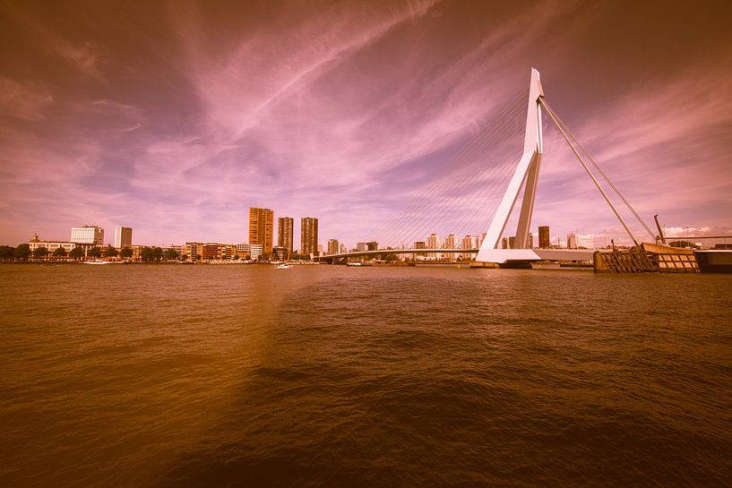 Rotterdam de Erasmusbrug van Brian Morgan