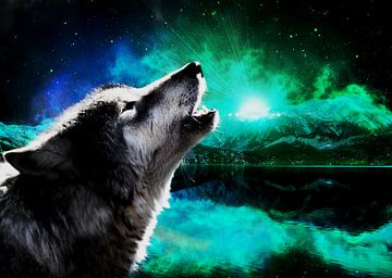 Wolf Galaxy van Mateo