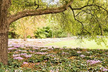 De bloemenweide van Veronique Staskowiak