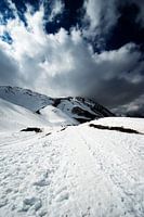 Schnee 