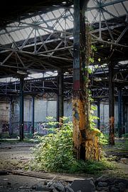 disused factory on the outskirts of the city of Magdeburg by Heiko Kueverling