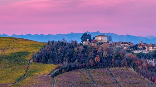 Pink Sunrise at Serralunga d'Alba II