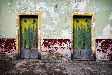 COLOURED TWIN DOORS van ARTBERGWERK