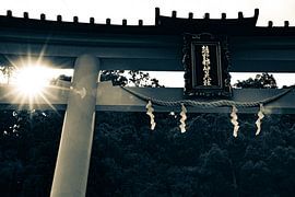 Licht bij de poort van het Shintō-heiligdom