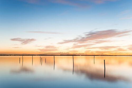 Paaltjes in het Veluwemeer