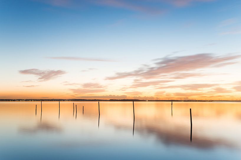 Paaltjes in het Veluwemeer by Elroy Spelbos Fotografie