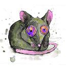 Rat van Bianca Wisseloo thumbnail