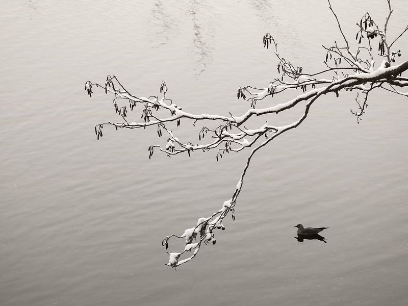 Winter Lake by Lena Weisbek