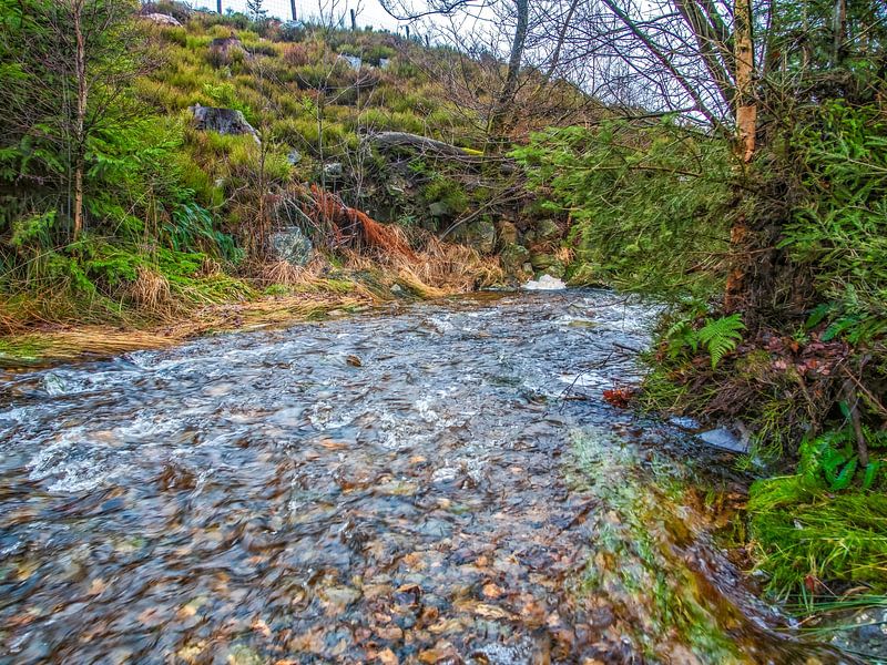 Tussen De Bomen Rustig Stromende RIver bayehon. van Nature Life Ambience