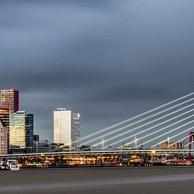 Panoramafoto der Skyline von Rotterdam von Miranda van Hulst
