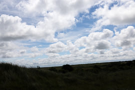 Pictures of the North Sea island of Borkum. by Bianca Meyering Fotos - BMF