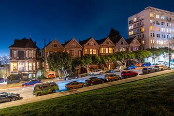 The Painted Ladies 2025 van Michel Swart