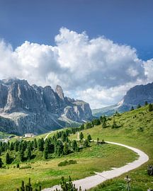 Dolomites Mountain Landscape and Trail at Gardena Pass by Stefano Orazzini