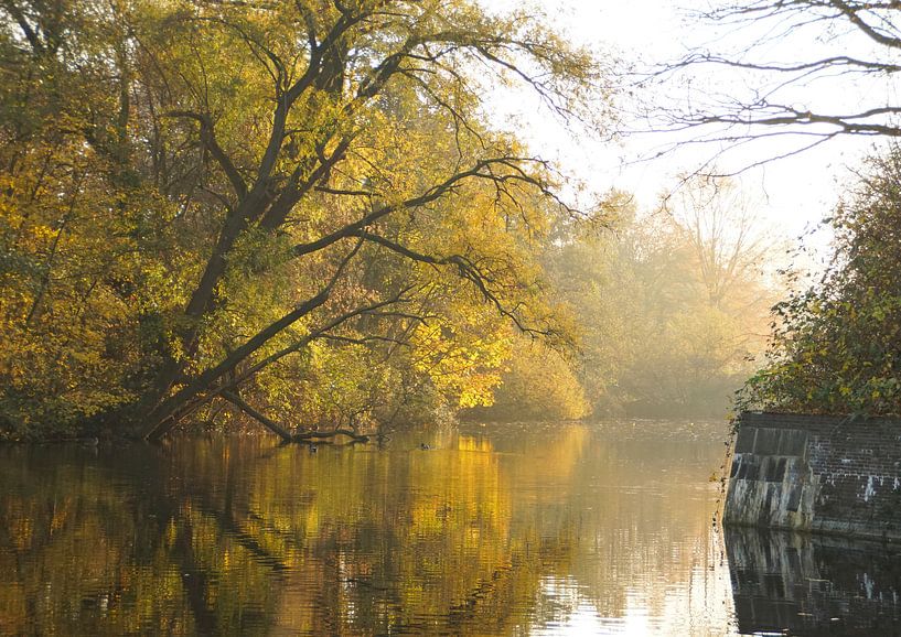 Herfst in Lunetten by Pieter Heymeijer
