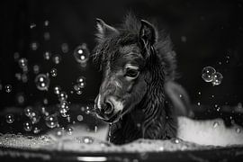 Verspieltes Pony in der Badewanne - Ein charmantes Badezimmerbild für Ihr WC von Poster Art Shop
