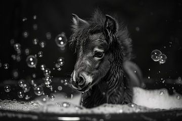 Speelse pony in bad - Een charmante badkamerfoto voor je toilet van Felix Brönnimann